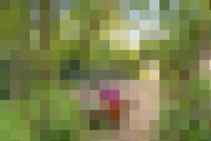 Beerzerweg 18 Beerze thumbnail 75