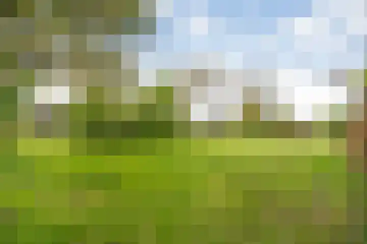 Beerzerweg 18 Beerze thumbnail 79