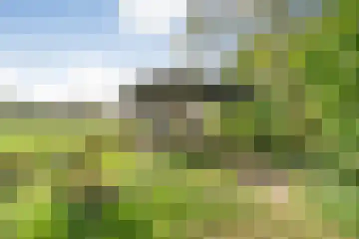 Beerzerweg 18 Beerze thumbnail 81