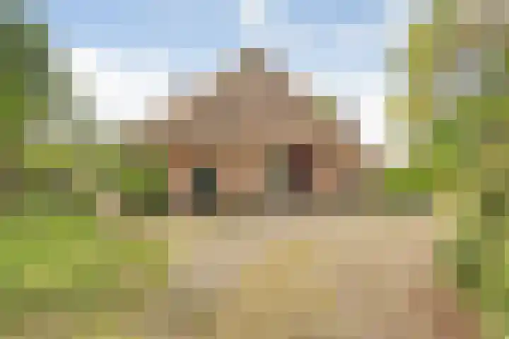 Beerzerweg 18 Beerze thumbnail 86