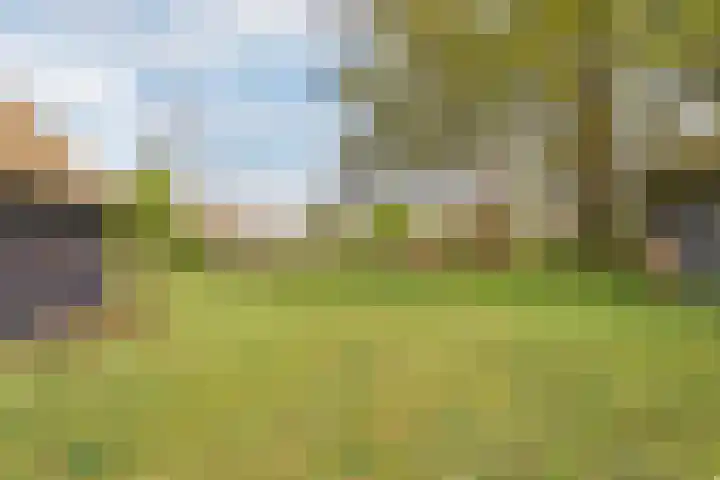 Beerzerweg 18 Beerze thumbnail 94