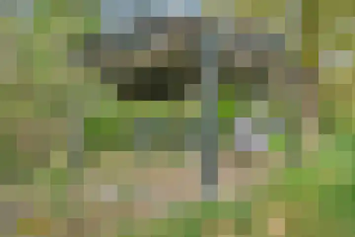 Beerzerweg 18 Beerze thumbnail 95