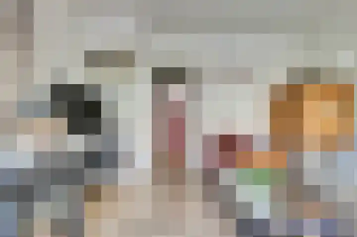 Beestenmarkt 9 Goes thumbnail 11