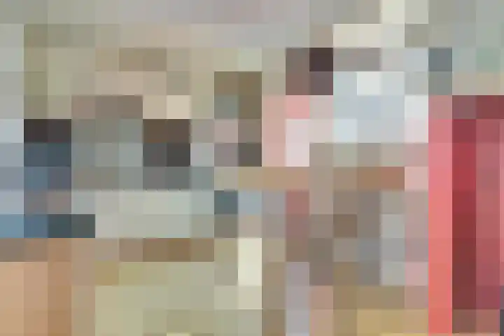 Beestenmarkt 9 Goes thumbnail 13
