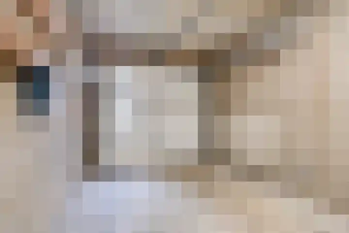 Beethovengaarde 101 Oss thumbnail 15