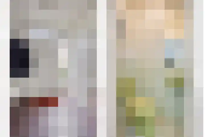 Beethovengaarde 101 Oss thumbnail 17