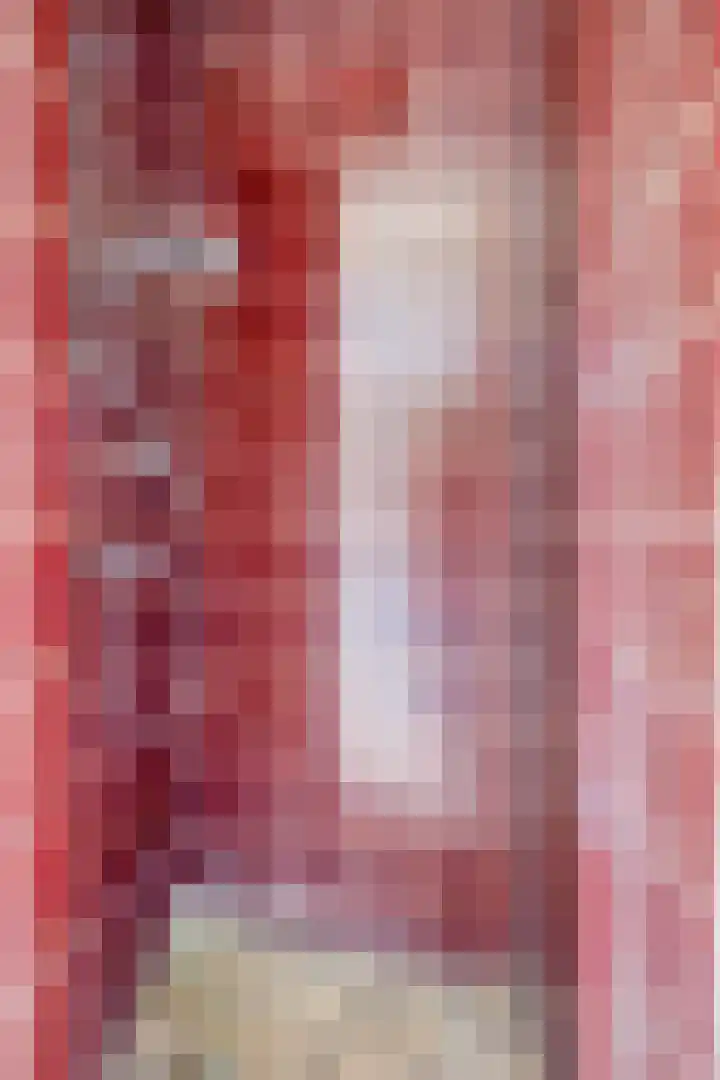 Beethovengaarde 101 Oss thumbnail 25