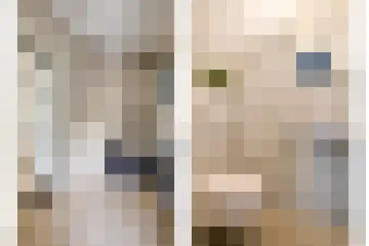 Beethovengaarde 127 Oss thumbnail 12