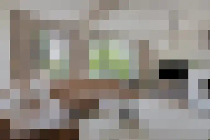 Beethovengaarde 127 Oss thumbnail 14
