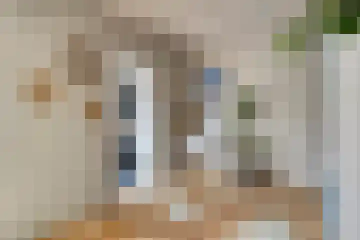 Beethovengaarde 127 Oss thumbnail 17
