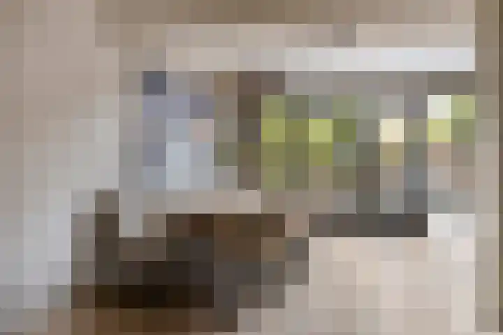 Beethovengaarde 127 Oss thumbnail 18