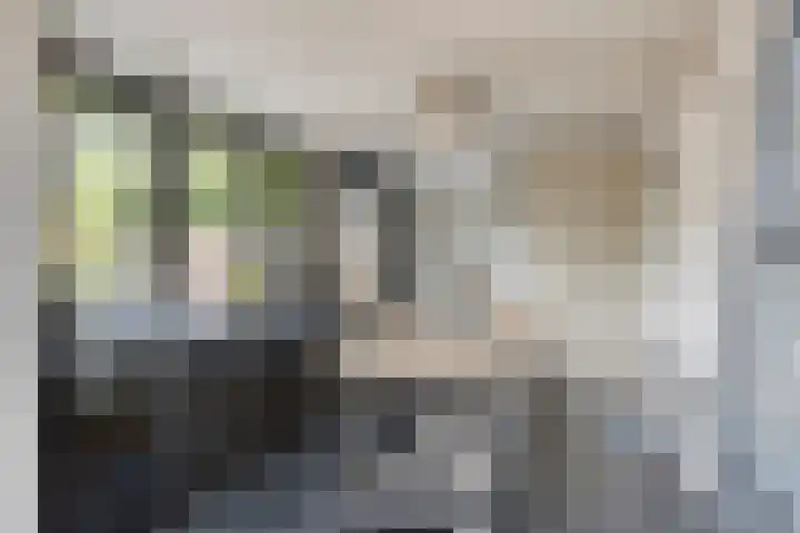 Beethovengaarde 127 Oss thumbnail 22