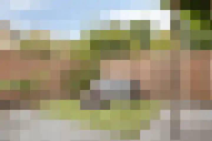 Beethovengaarde 127 Oss thumbnail 29