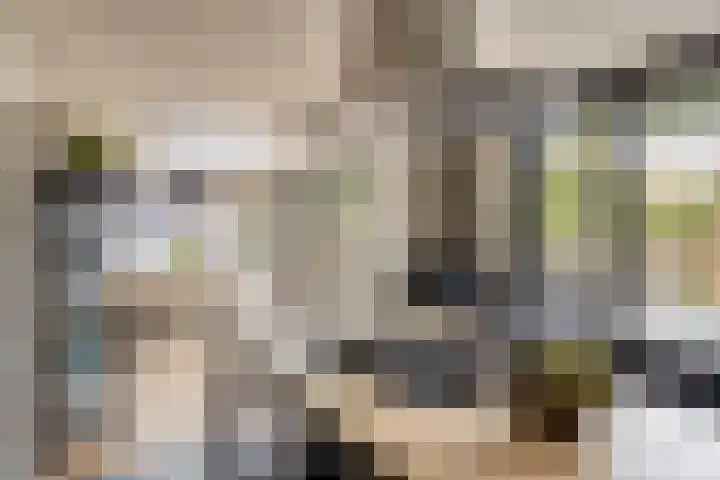 Beethovengaarde 127 Oss foto 3