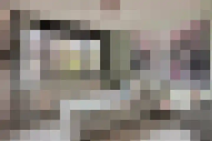 Beethovengaarde 127 Oss thumbnail 31