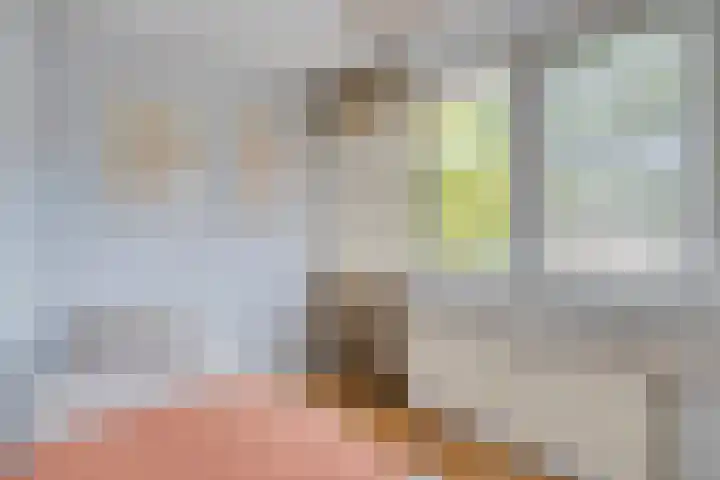 Beethovengaarde 127 Oss thumbnail 32