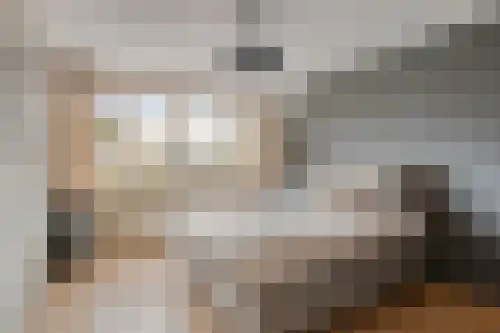 Beethovengaarde 127 Oss thumbnail 37