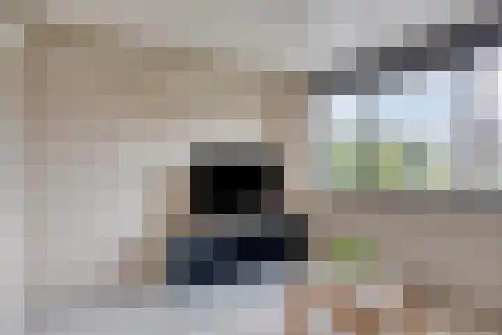 Beethovengaarde 127 Oss thumbnail 39