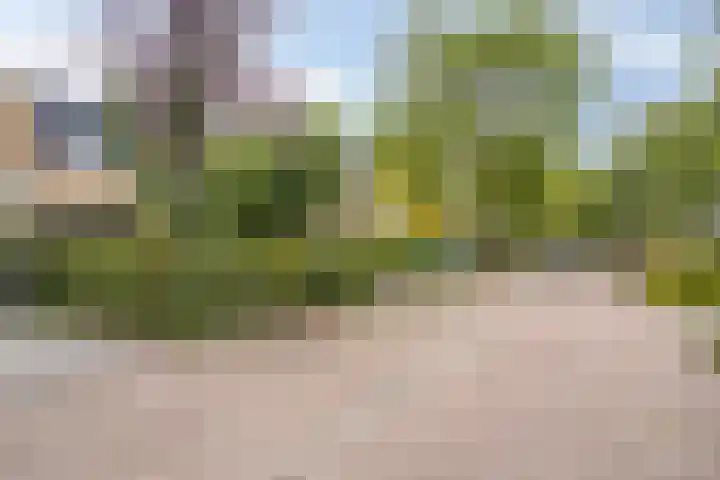 Beethovengaarde 127 Oss thumbnail 7
