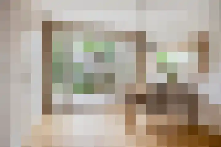 Beethovengaarde 72 Oss thumbnail 13