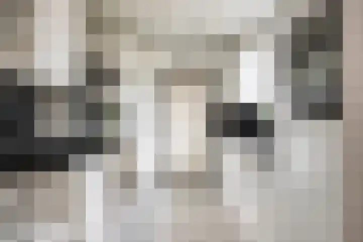 Beethovengaarde 72 Oss thumbnail 14