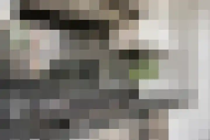 Beethovengaarde 72 Oss thumbnail 15