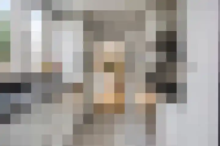 Beethovengaarde 72 Oss thumbnail 16