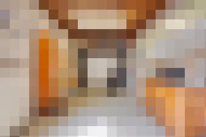 Beethovengaarde 72 Oss thumbnail 17
