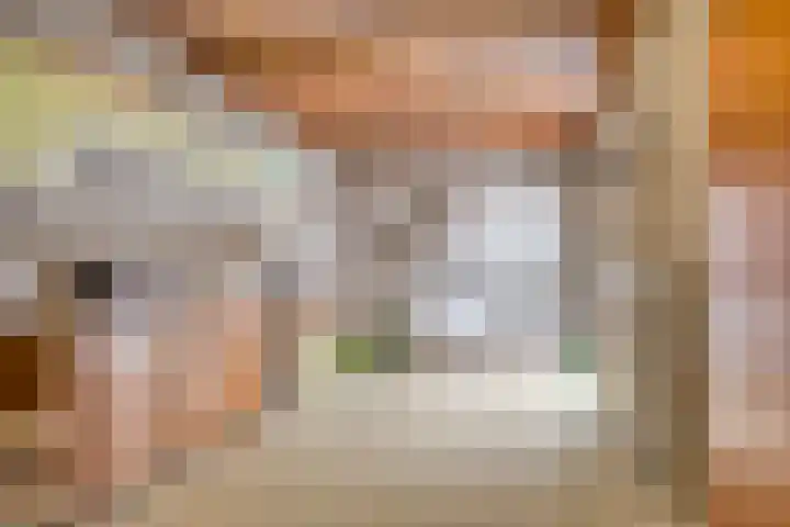 Beethovengaarde 72 Oss thumbnail 18