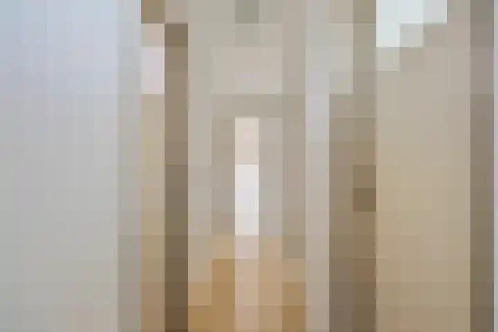 Beethovengaarde 72 Oss thumbnail 24