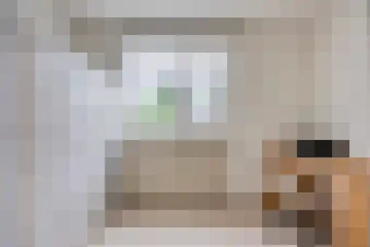 Beethovengaarde 72 Oss thumbnail 36