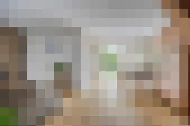 Beethovengaarde 72 Oss thumbnail 6