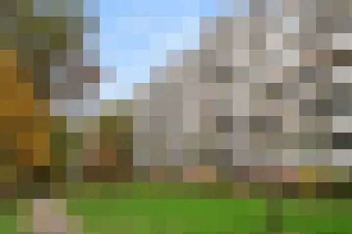 Beethovenlaan 101 Doorwerth thumbnail 11