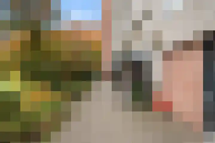 Beethovenlaan 101 Doorwerth thumbnail 13