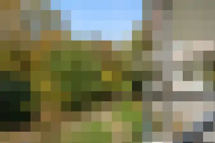 Beethovenlaan 101 Doorwerth thumbnail 30