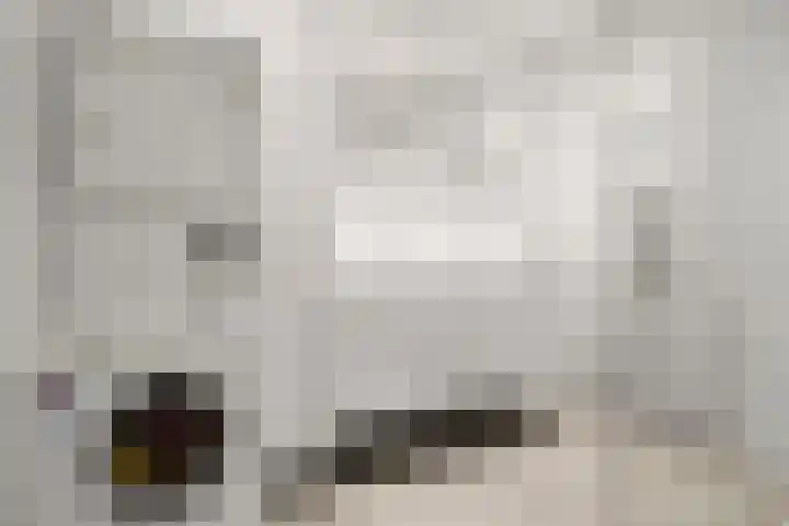Beethovenlaan 101 Doorwerth thumbnail 37