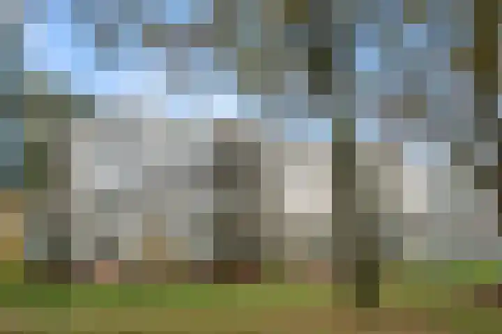 Beethovenlaan 101 Doorwerth thumbnail 8