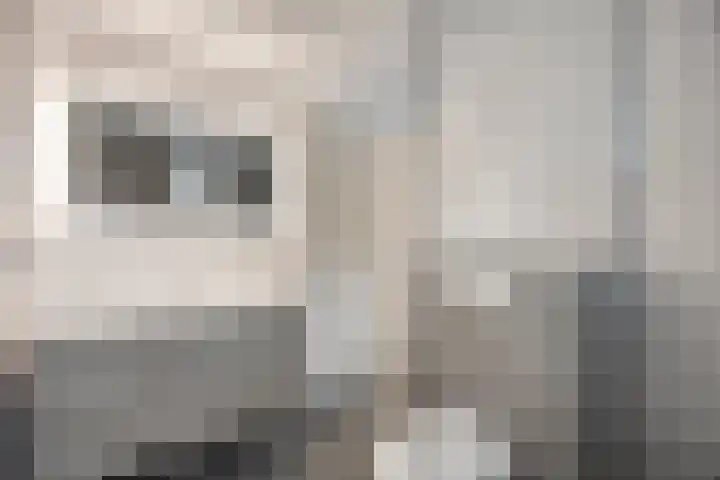 Beethovenlaan 11 Goes thumbnail 16
