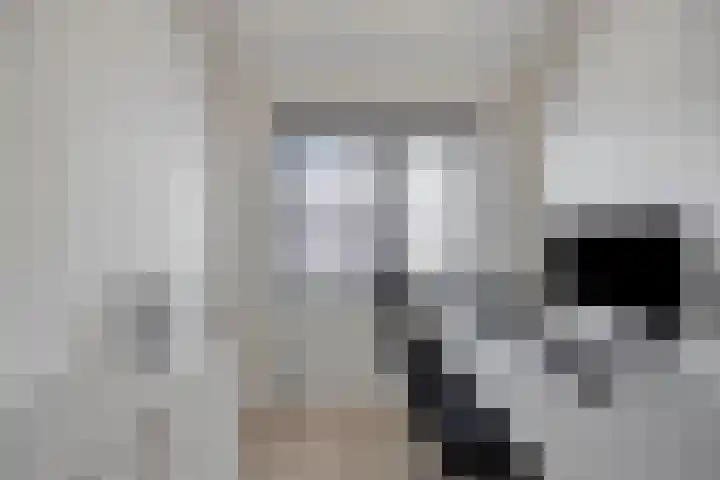 Beethovenlaan 11 Goes thumbnail 17