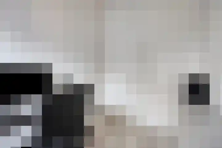 Beethovenlaan 11 Goes thumbnail 18