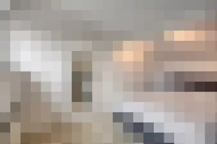 Beethovenlaan 11 Goes thumbnail 22
