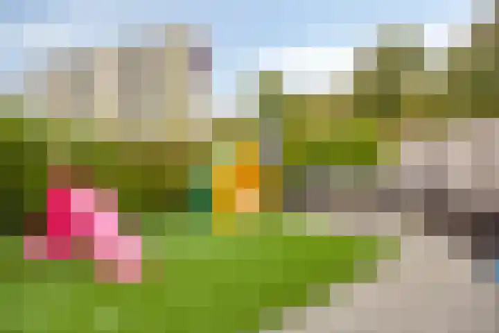 Beethovenlaan 11 Goes thumbnail 23