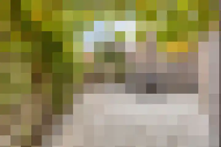 Beethovenlaan 11 Goes thumbnail 25