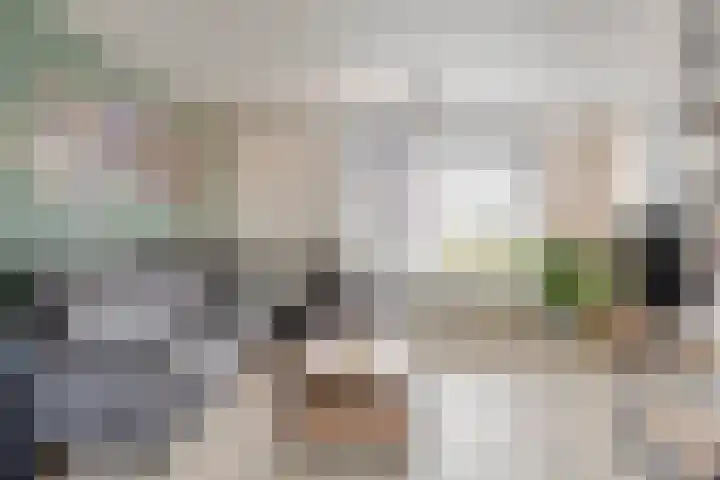 Beethovenlaan 11 Goes thumbnail 6