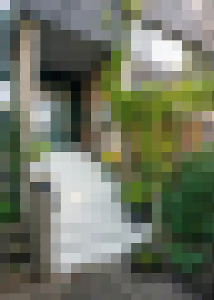 Beethovenlaan 116 Doorwerth thumbnail 4