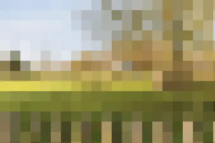 Beethovenlaan 18 Helmond thumbnail 35