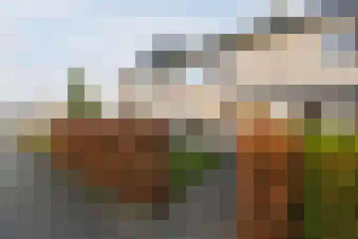 Beethovenlaan 18 Helmond thumbnail 6