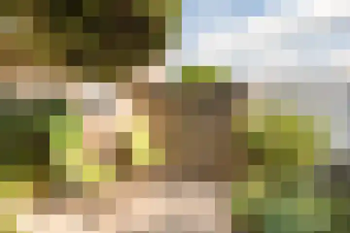 Beethovenlaan 199 Tilburg thumbnail 17