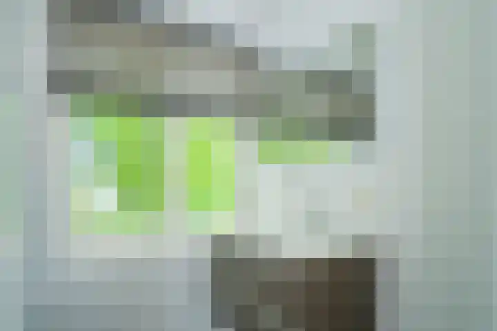 Beethovenlaan 22 Deurne thumbnail 21