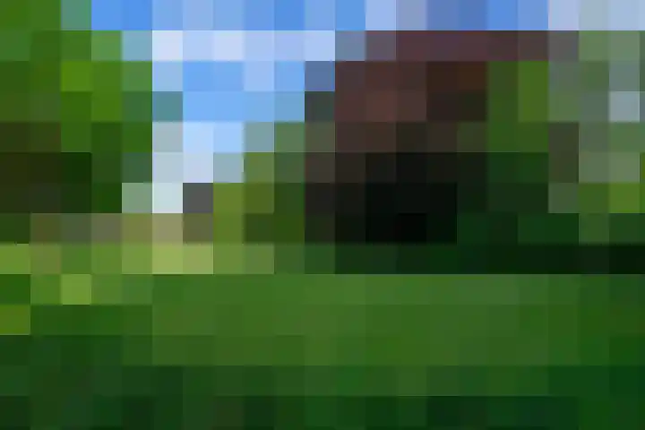 Beethovenlaan 22 Deurne thumbnail 35